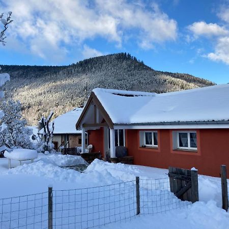 Gite Le Cerf Volant Raon-sur-Plaine Экстерьер фото